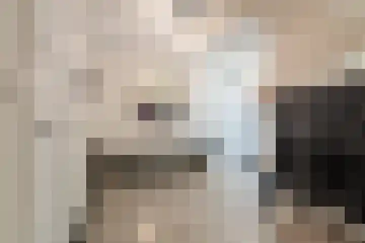 Kerkstraat 11 Bavel thumbnail 16