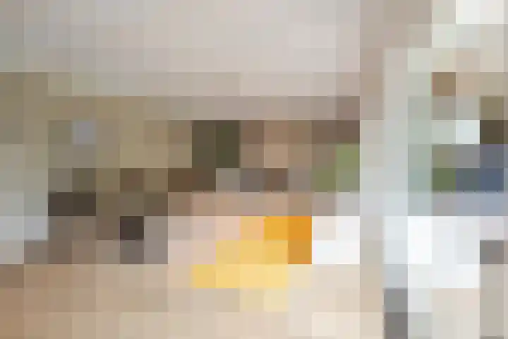 Kerkstraat 11 Bavel thumbnail 22
