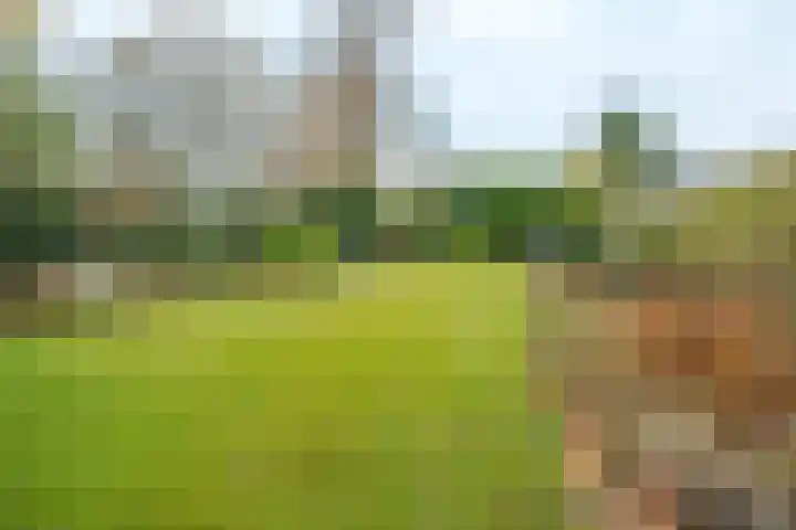 Kerkstraat 11 Bavel thumbnail 32