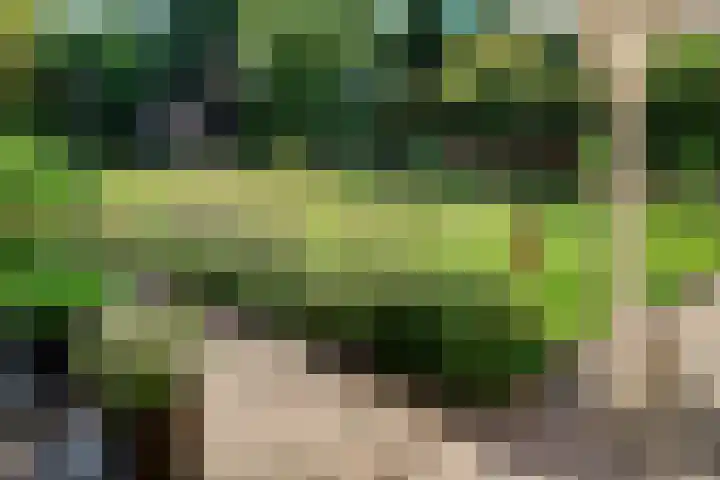 Kerkstraat 11 Bavel thumbnail 33