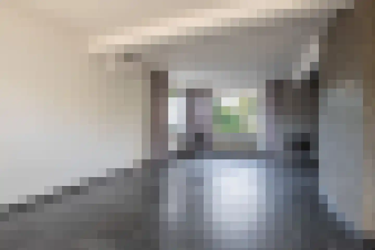 Kerkstraat 11 Beesel thumbnail 9