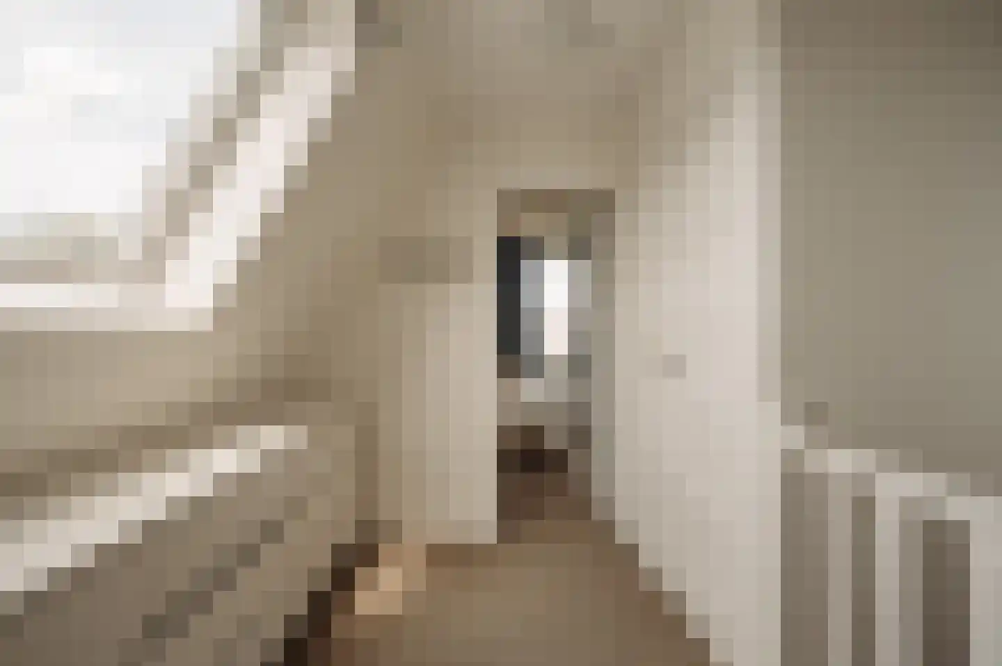 Kerkstraat 11 Bergen aan Zee thumbnail 29