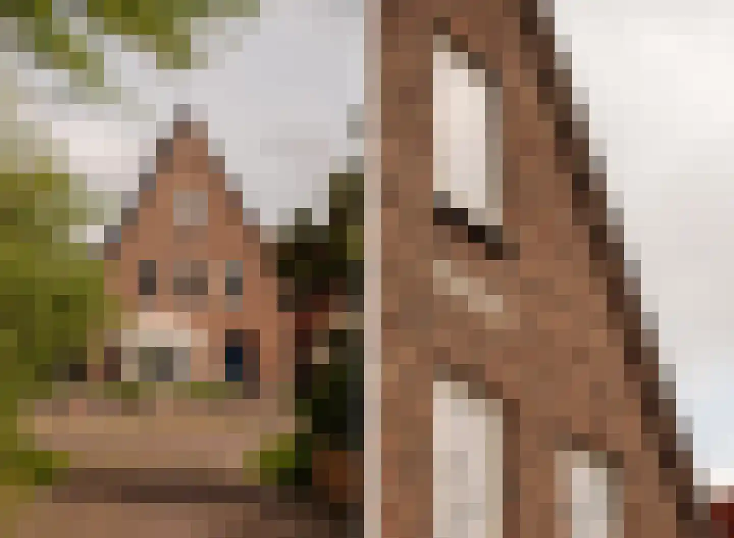 Kerkstraat 11 Bergen aan Zee thumbnail 38