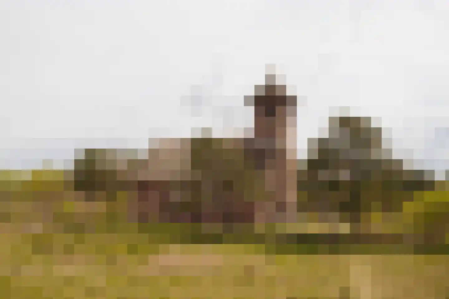 Kerkstraat 11 Bergen aan Zee thumbnail 40