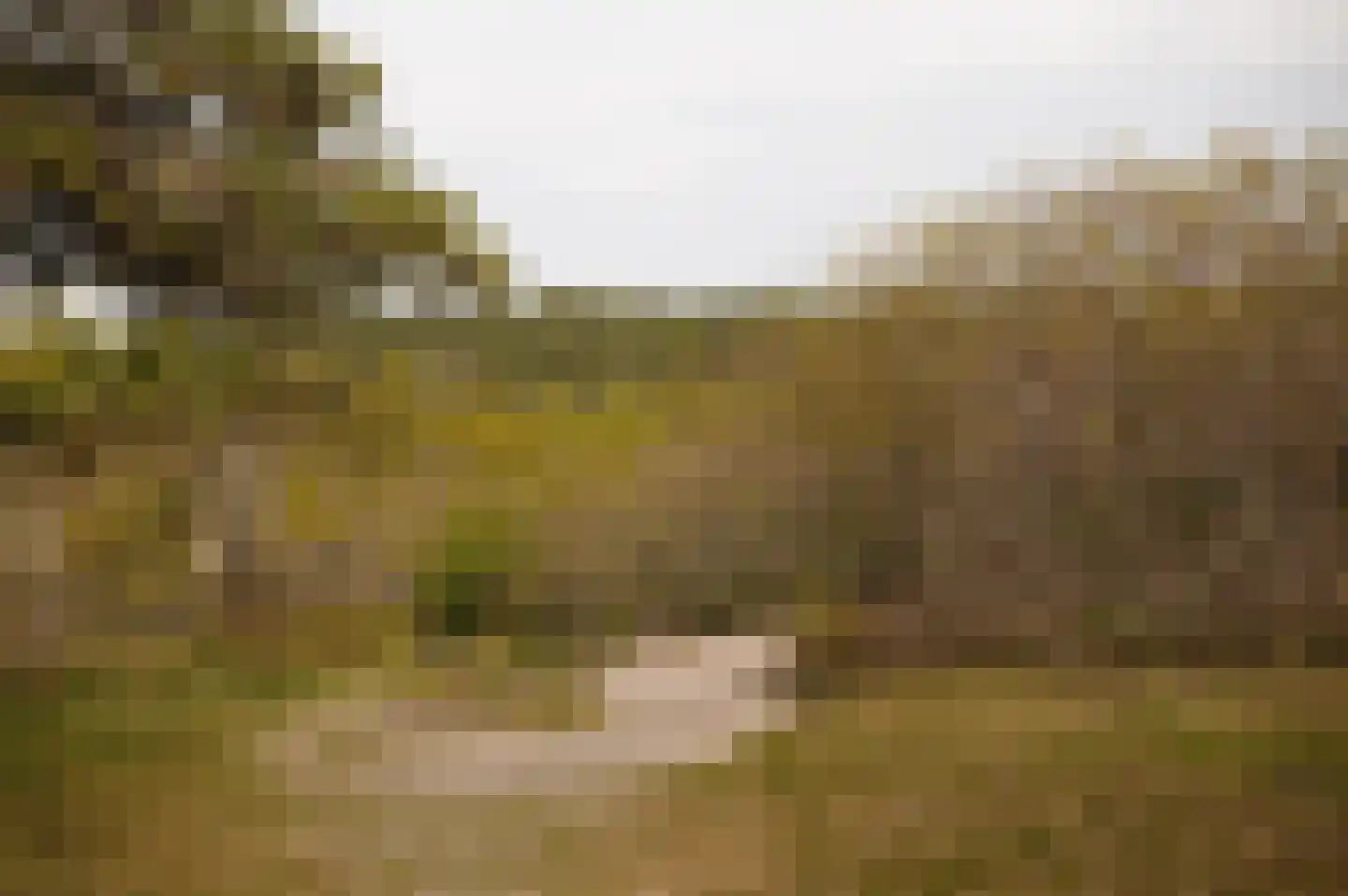 Kerkstraat 11 Bergen aan Zee thumbnail 41