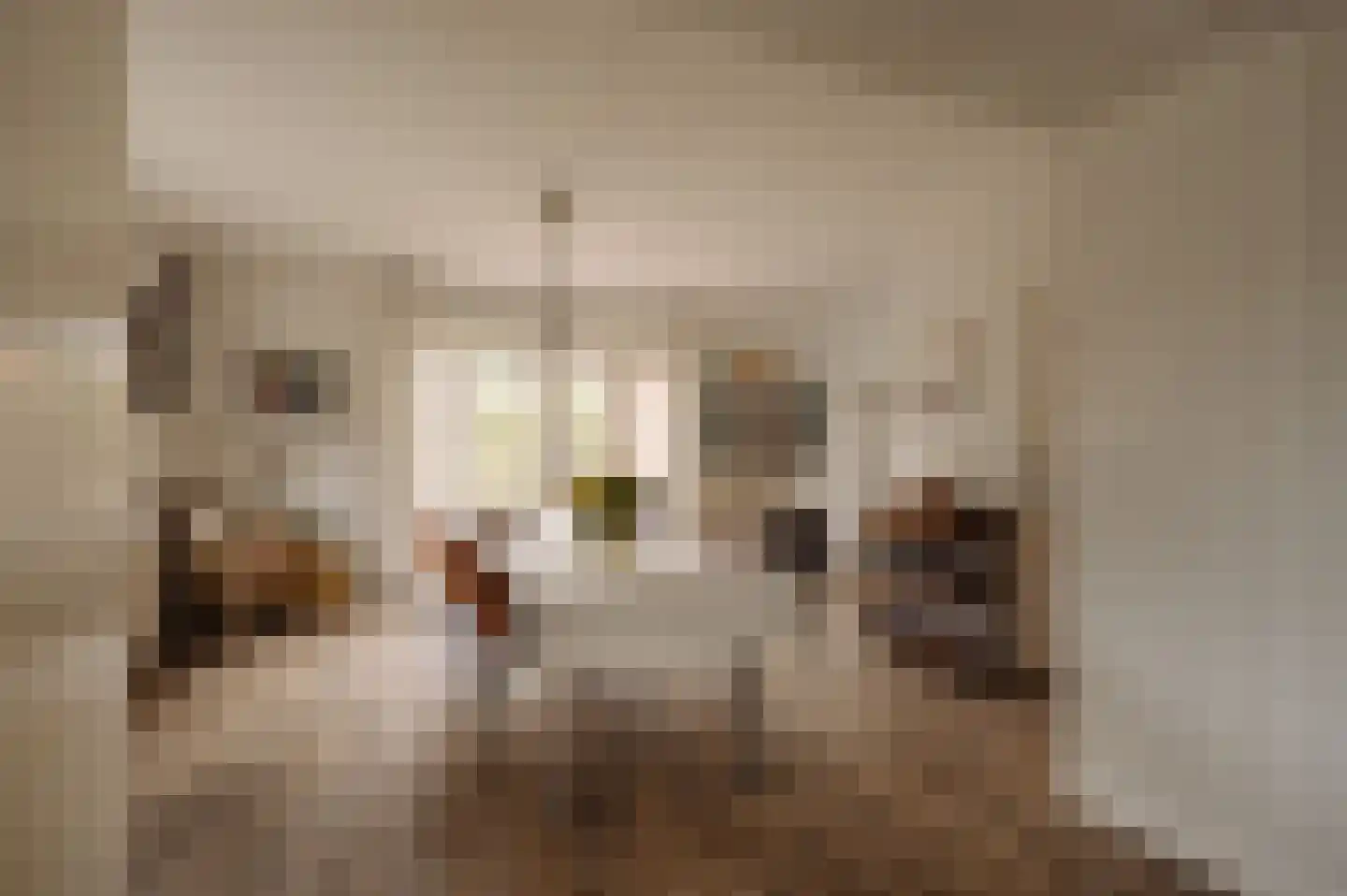 Kerkstraat 11 Bergen aan Zee thumbnail 6