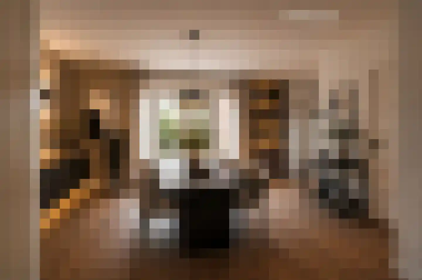 Kerkstraat 11 Bergen aan Zee thumbnail 7
