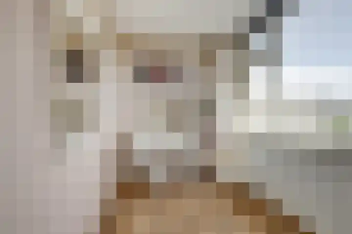 Kerkstraat 11 Hei- en Boeicop thumbnail 22