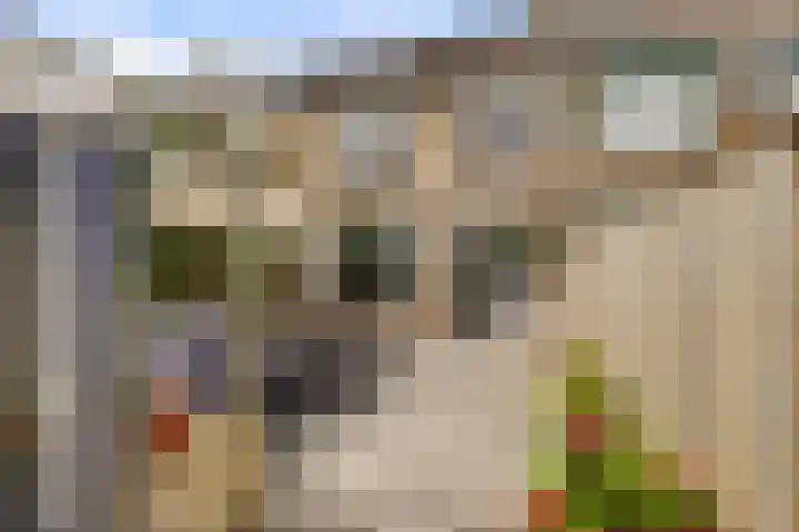 Kerkstraat 11 Hei- en Boeicop thumbnail 34