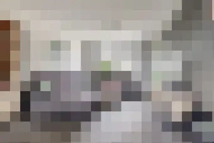 Kerkstraat 11 Hei- en Boeicop thumbnail 6
