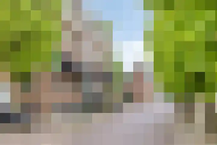 Kerkstraat 11 Kollum thumbnail 29