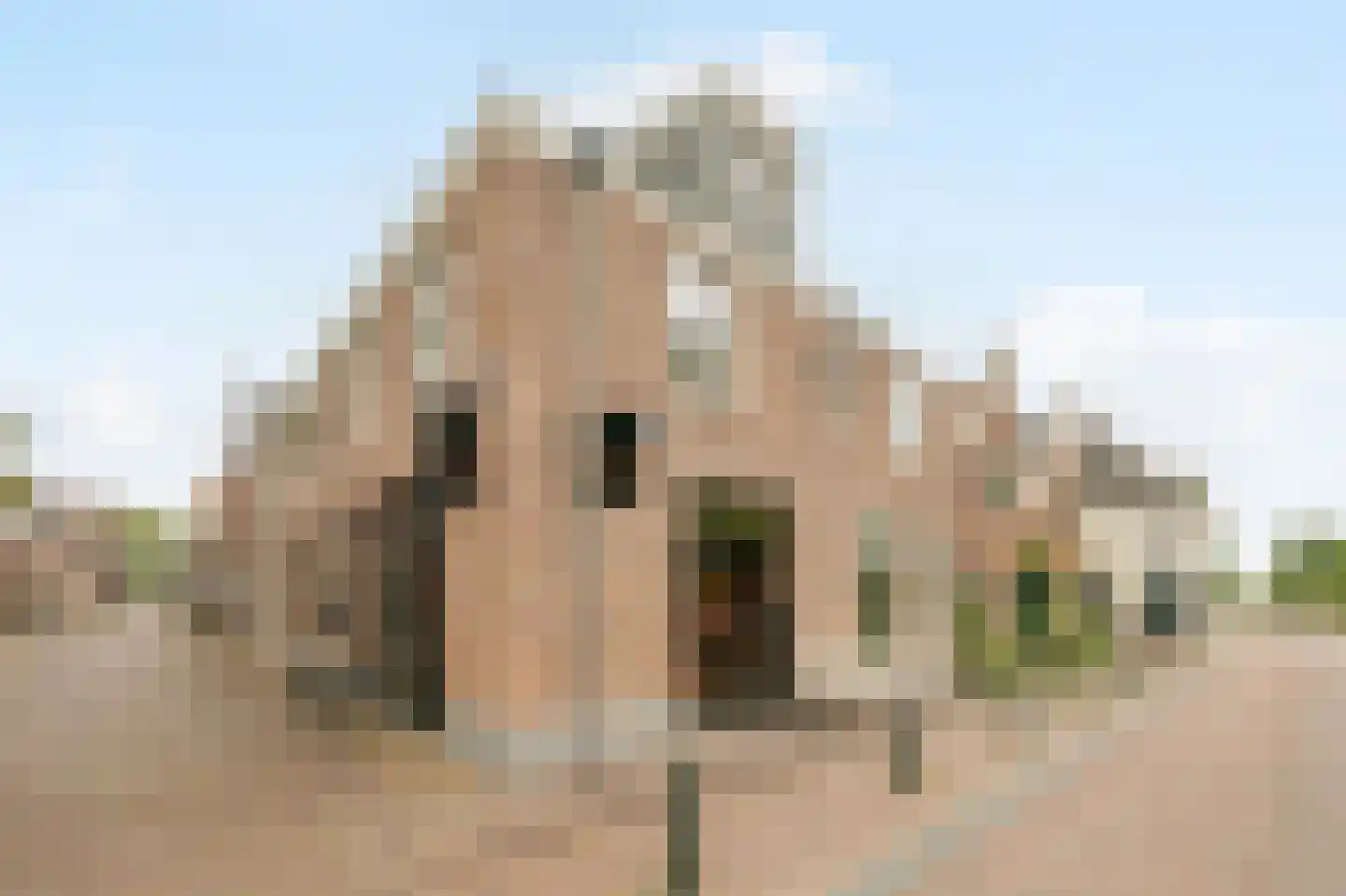 Kerkstraat 11 Loenen aan de Vecht thumbnail 35