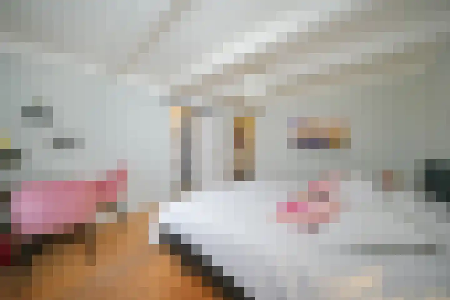 Kerkstraat 11 Oosterend thumbnail 12