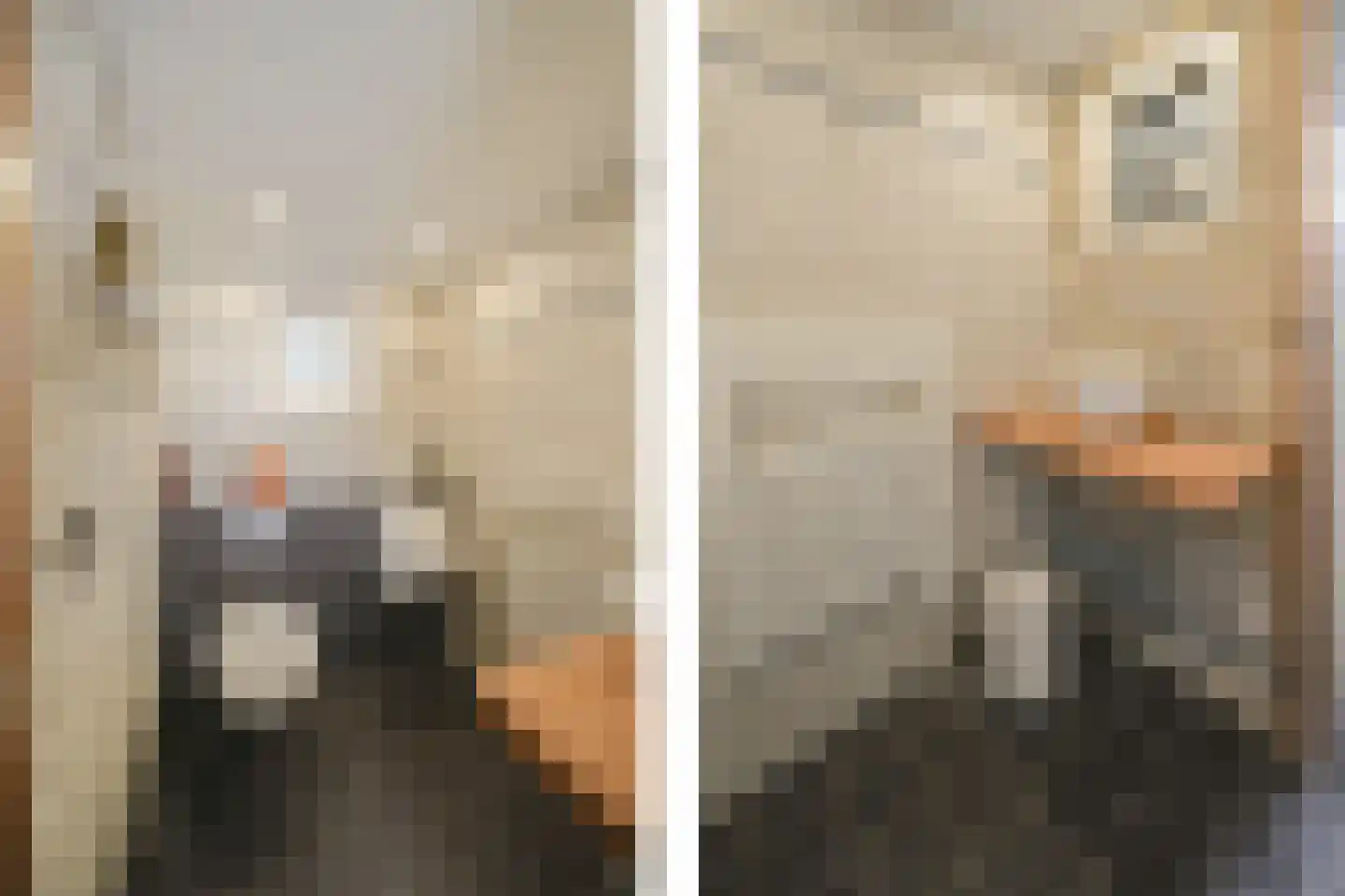 Kerkstraat 11 Oosterend thumbnail 18