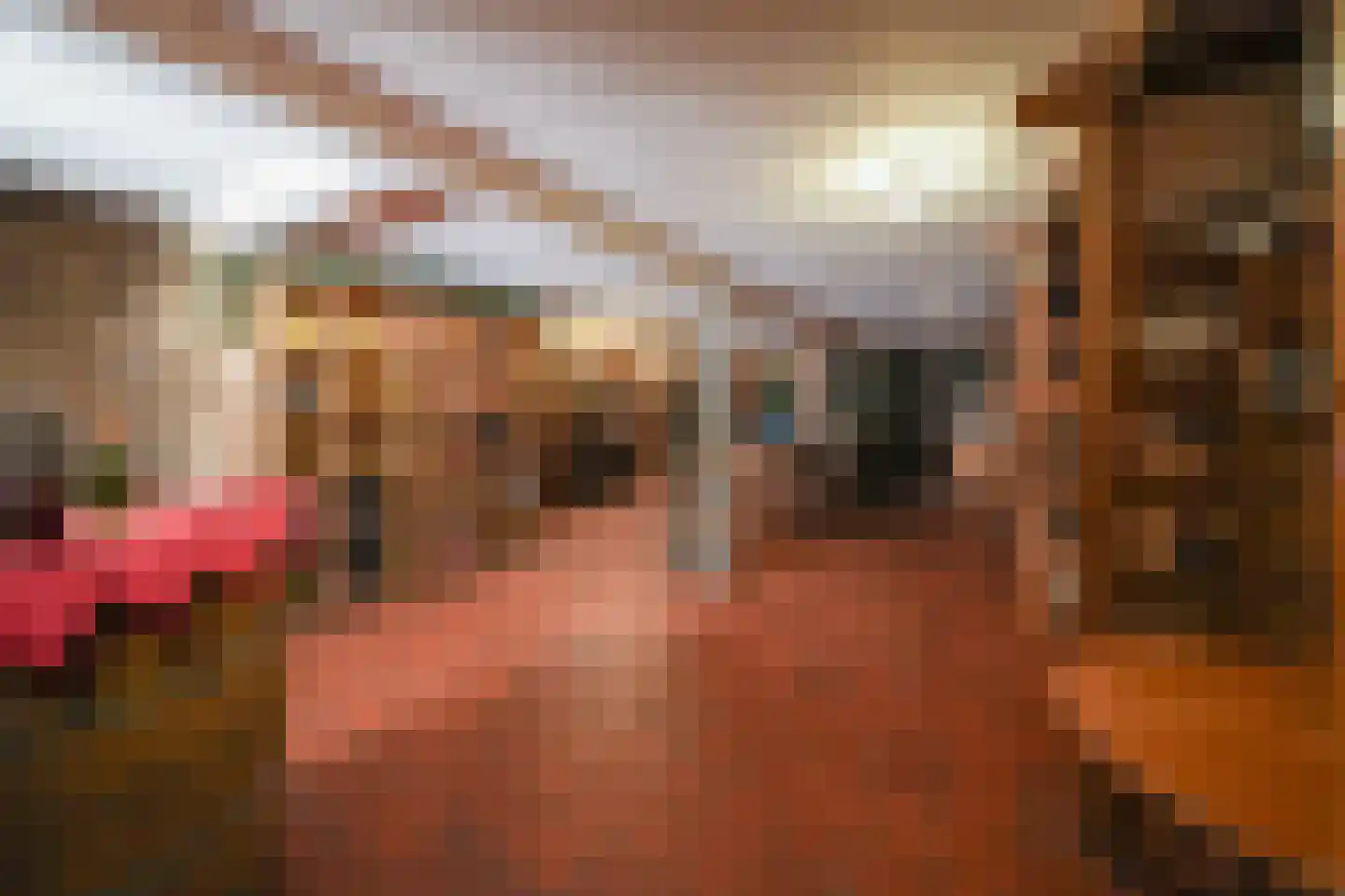 Kerkstraat 11 Oosterend thumbnail 24