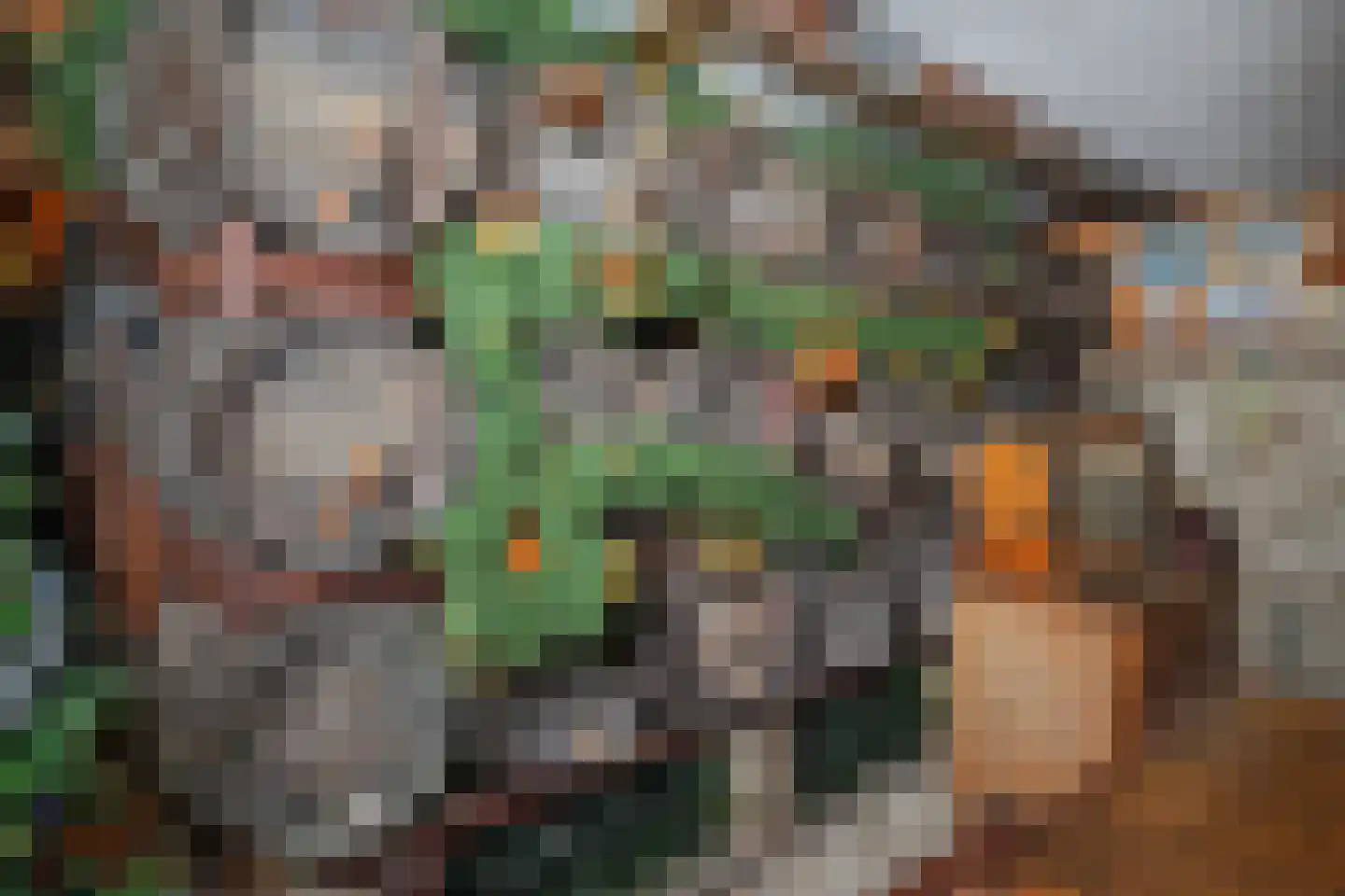 Kerkstraat 11 Oosterend thumbnail 26
