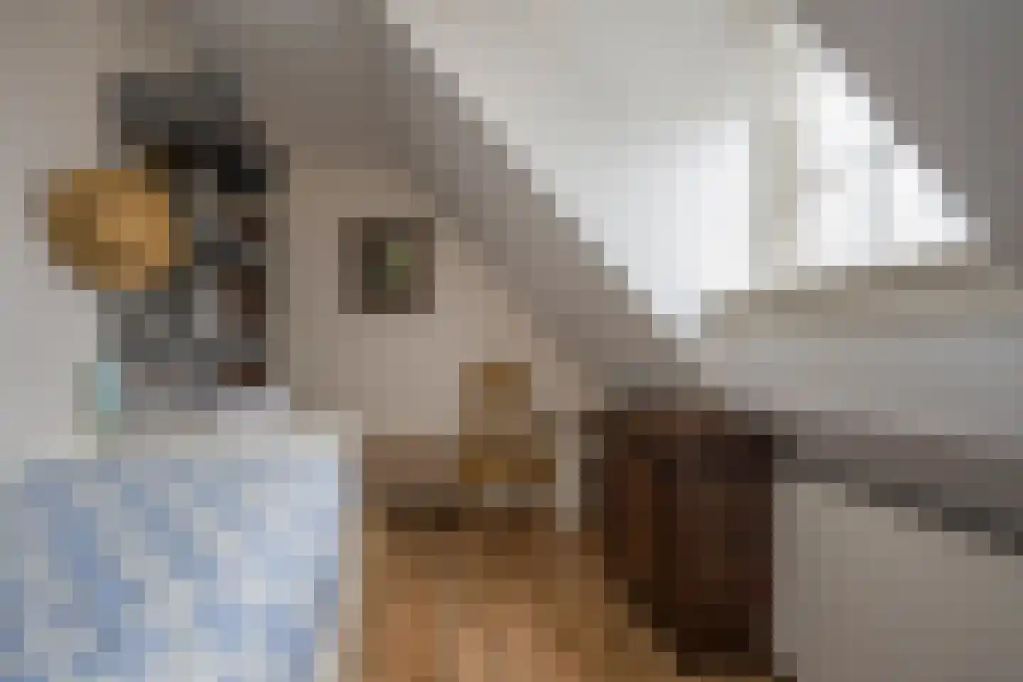 Kerkstraat 11 Soest thumbnail 20