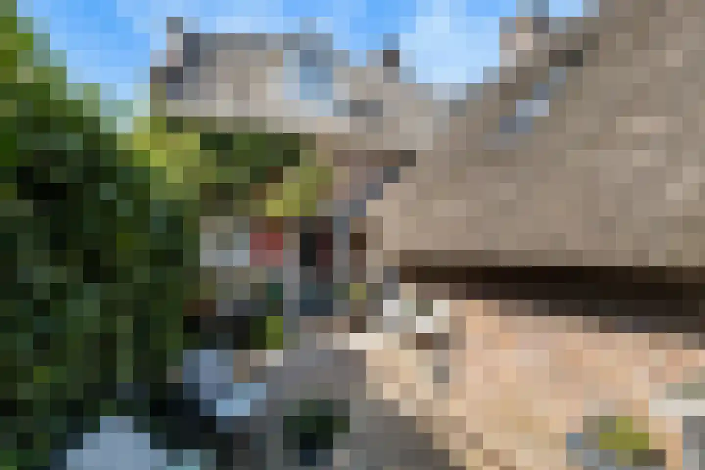 Kerkstraat 11 Soest thumbnail 21