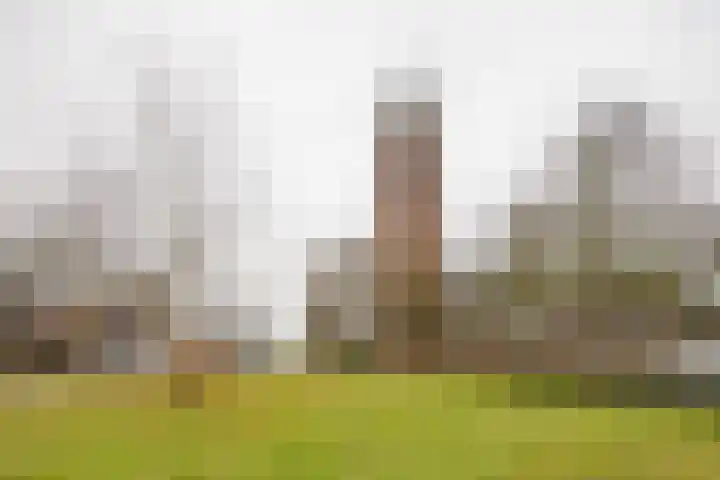 Kerkstraat 11 Soest thumbnail 25