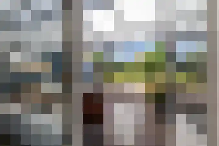 Kerkstraat 11 Zuidhorn thumbnail 20