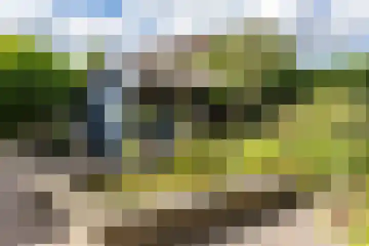 Kerkstraat 11 Zuidhorn thumbnail 23