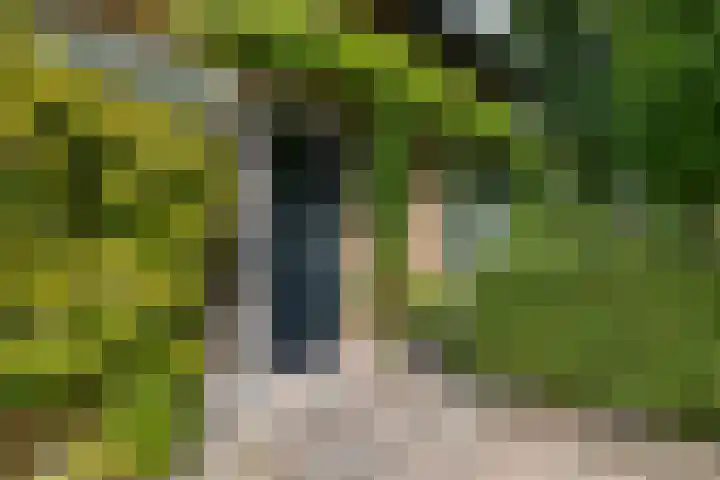 Kerkstraat 11 Zuidhorn thumbnail 4