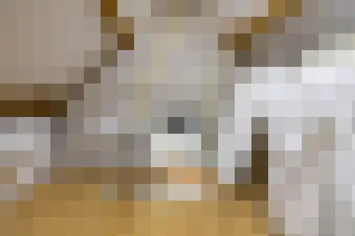 Kerkstraat 11 Zuidhorn thumbnail 47