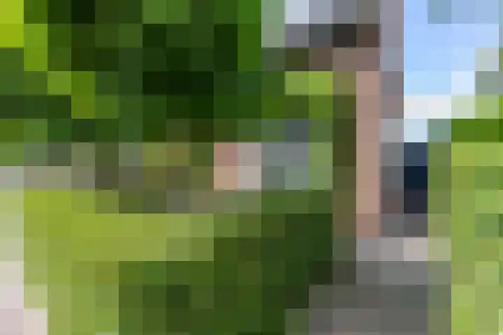 Kerkstraat 11 Zuidhorn thumbnail 51