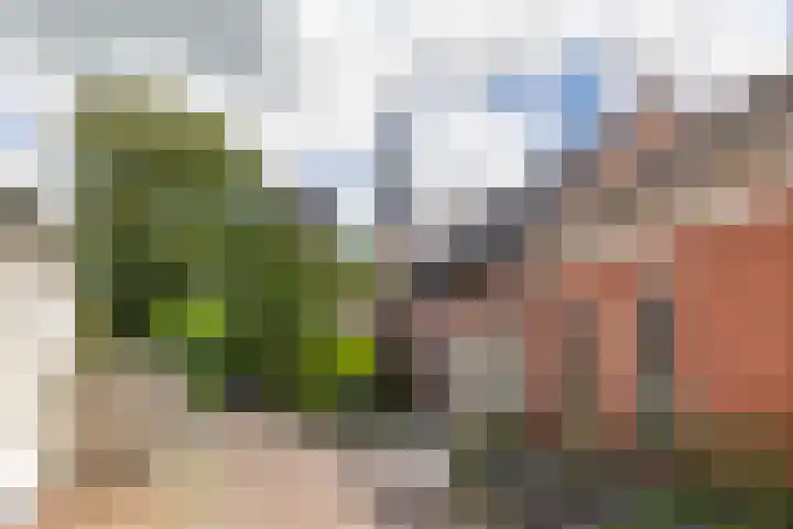 Kerkstraat 11 Zuidhorn thumbnail 53