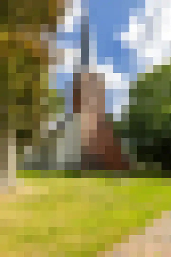 Kerkstraat 11 Zuidhorn thumbnail 54