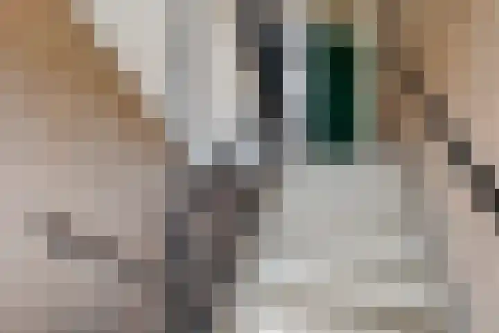 Kerkstraat 111 Hoogezand thumbnail 7