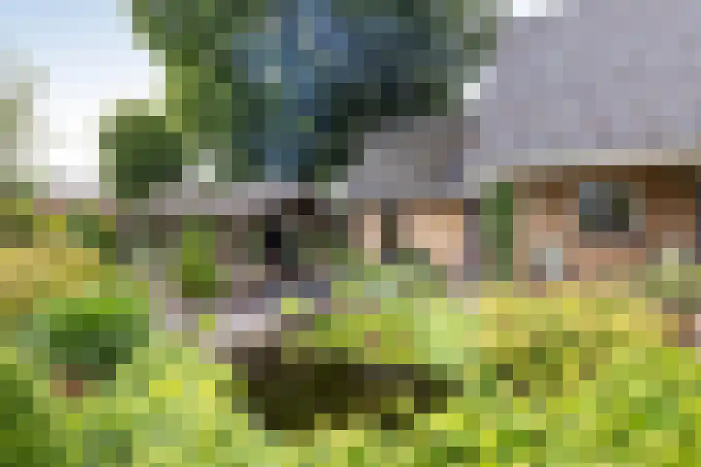 Kerkstraat 112 Reutum thumbnail 19