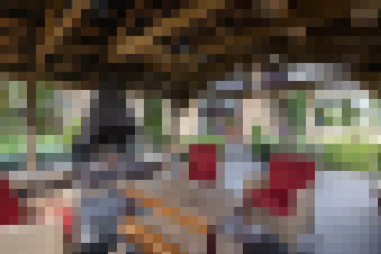 Kerkstraat 112 Reutum thumbnail 20