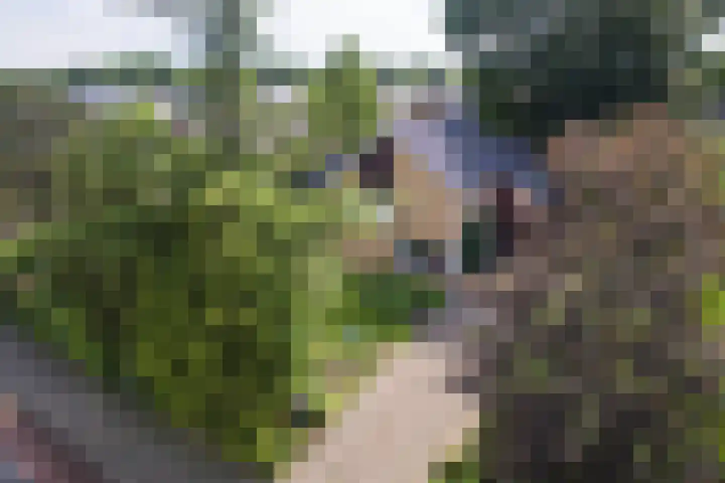 Kerkstraat 112 Reutum thumbnail 26