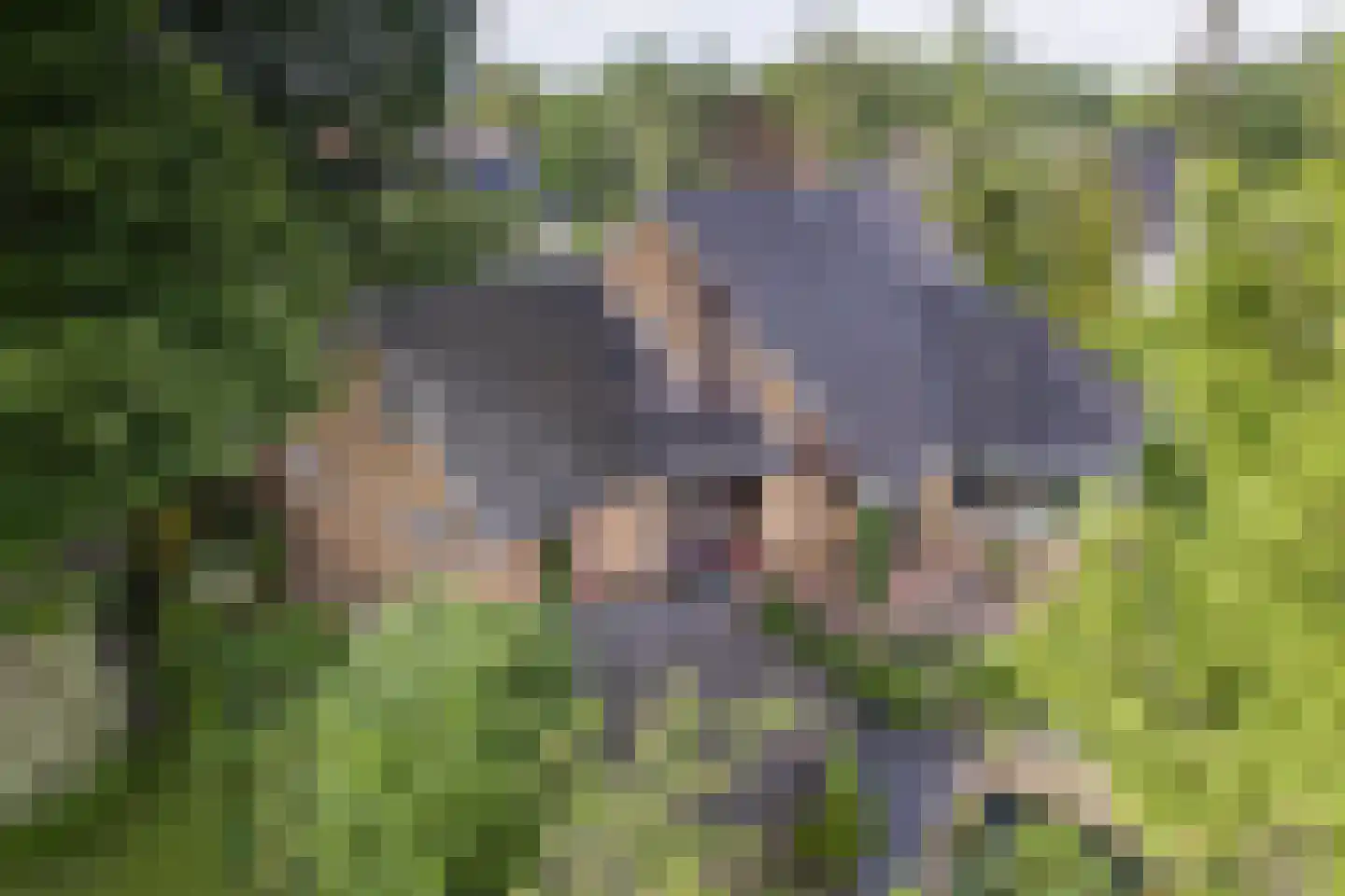 Kerkstraat 112 Reutum thumbnail 4