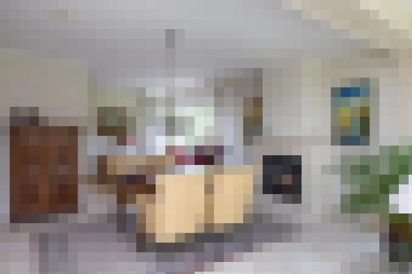 Kerkstraat 112 Reutum thumbnail 8