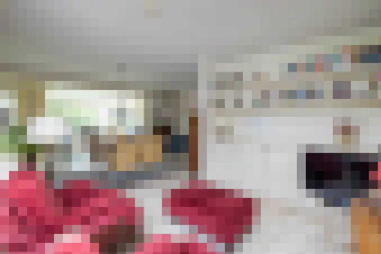 Kerkstraat 112 Reutum thumbnail 9