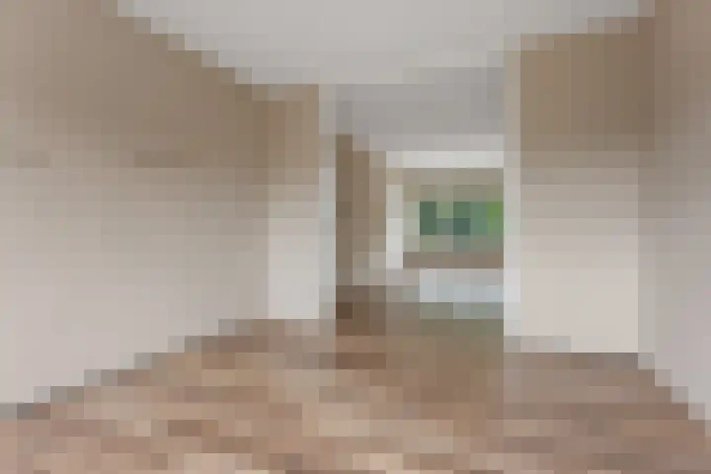 Kerkstraat 113 Hoogezand thumbnail 12