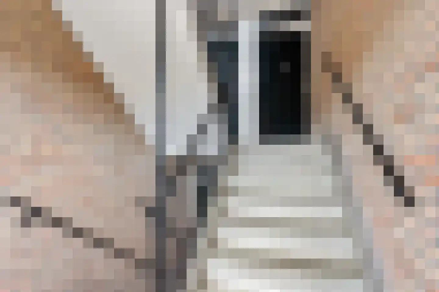 Kerkstraat 113 Hoogezand thumbnail 34