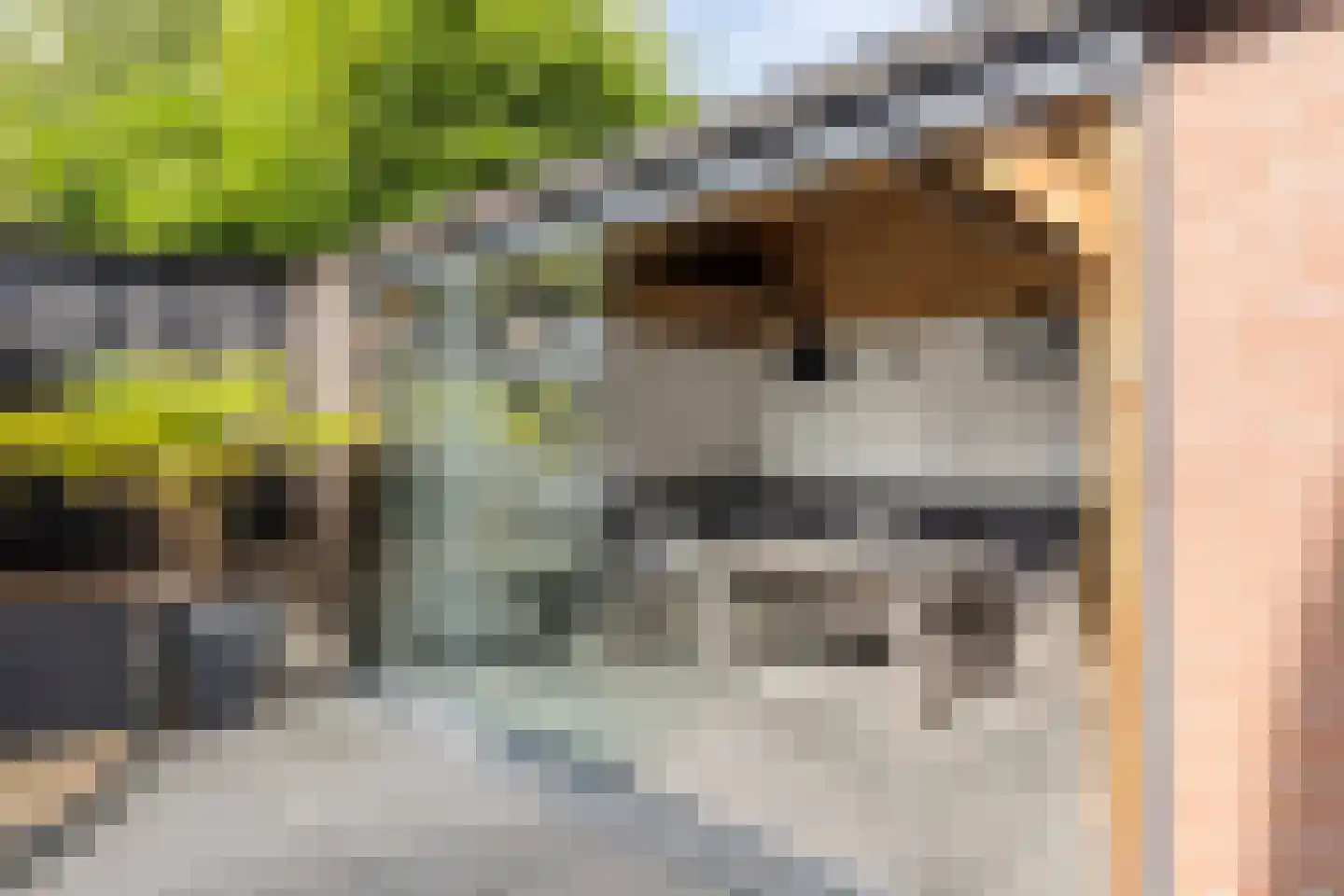 Kerkstraat 115 Goor thumbnail 23