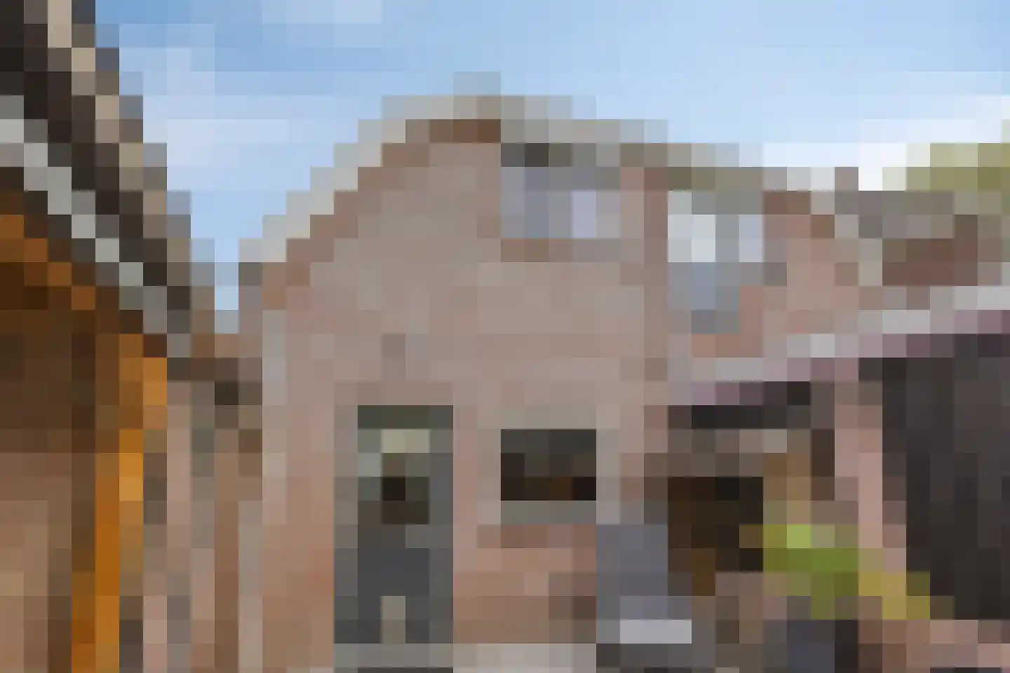 Kerkstraat 115 Goor thumbnail 24