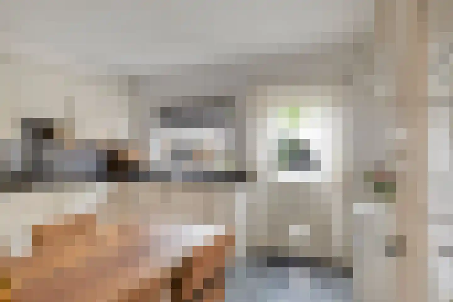 Kerkstraat 115 Goor thumbnail 9