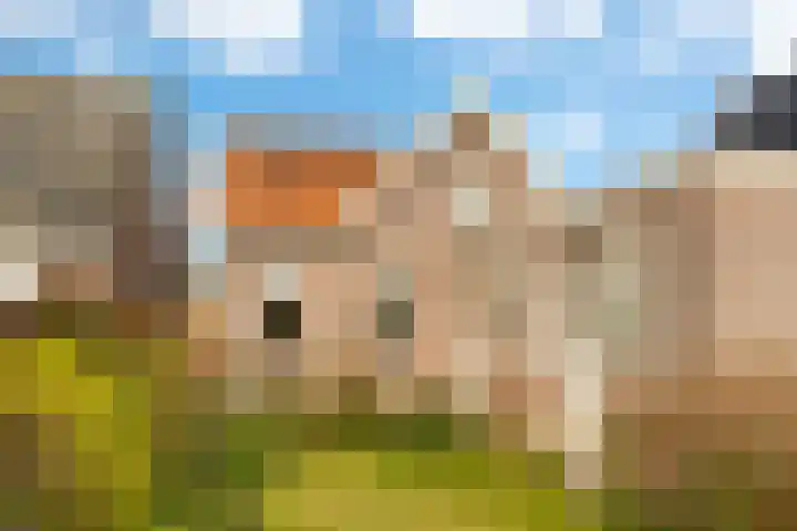 Kerkstraat 117 Oostzaan thumbnail 26