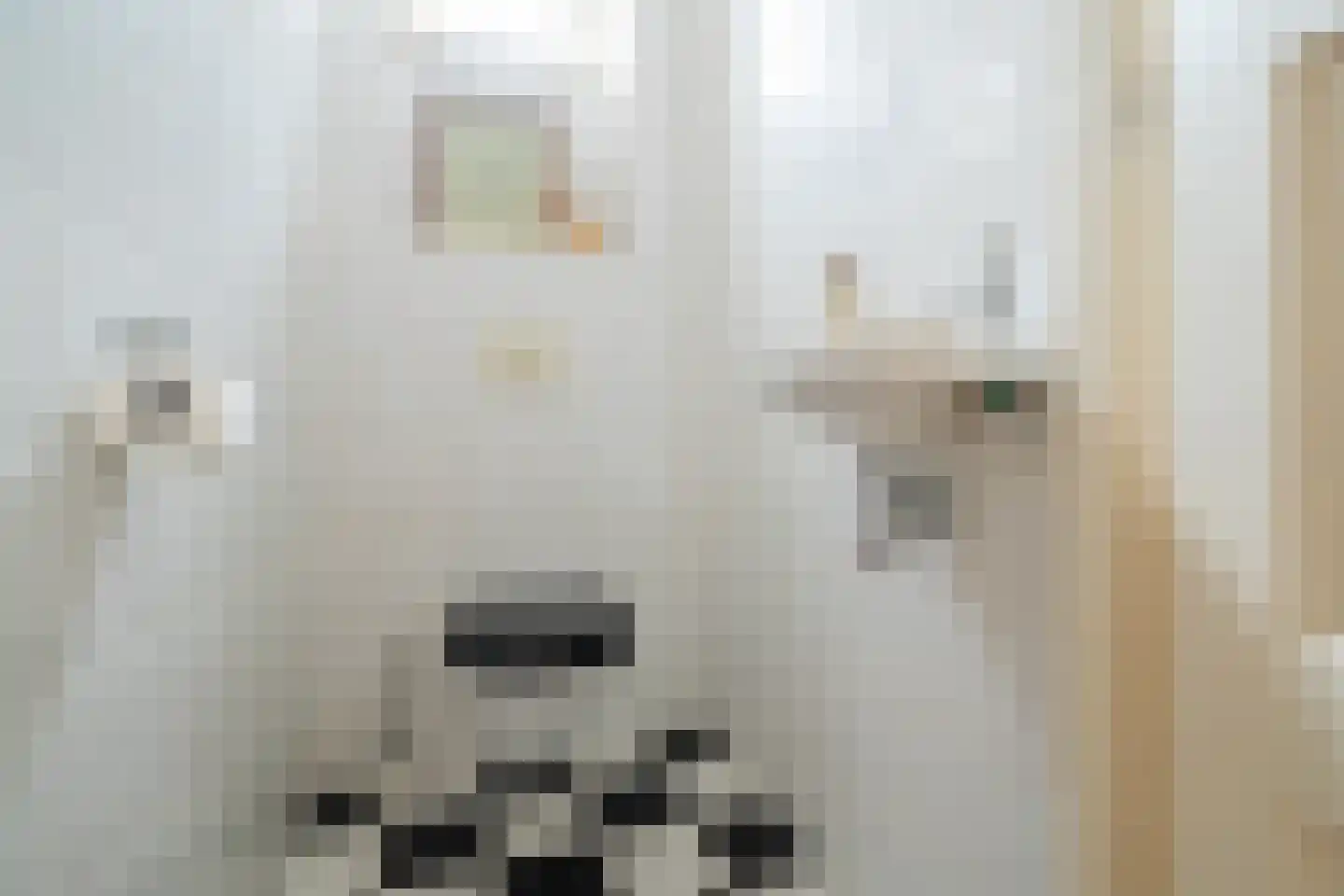 Kerkstraat 12 b Haren Gn thumbnail 42