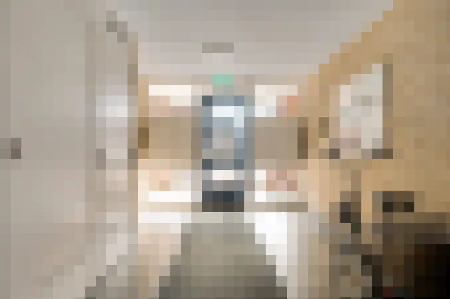 Kerkstraat 12 c Roggel thumbnail 5