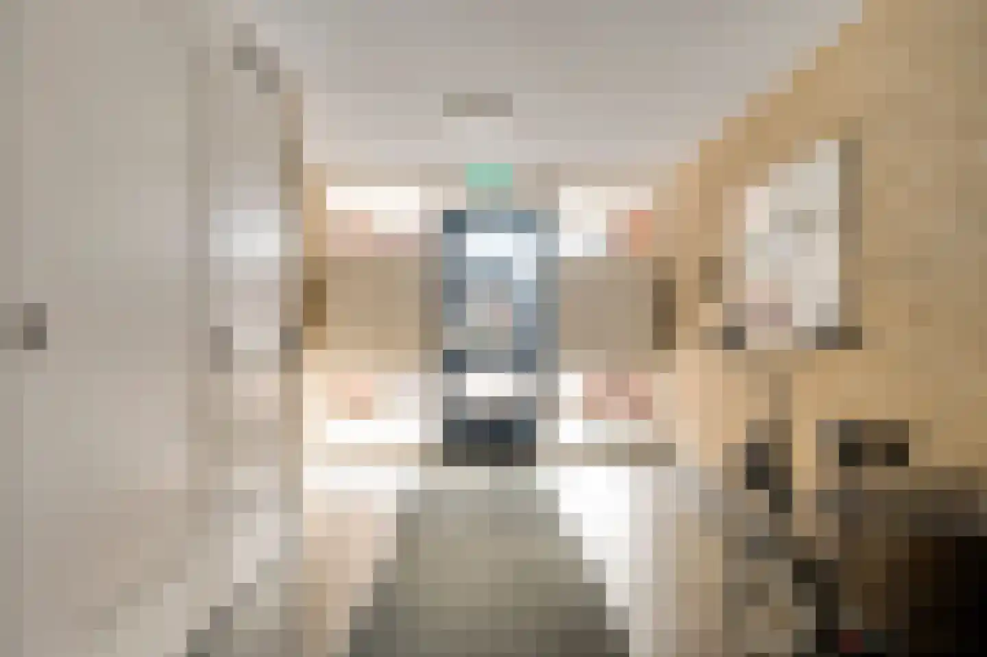 Kerkstraat 12 c Roggel thumbnail 7