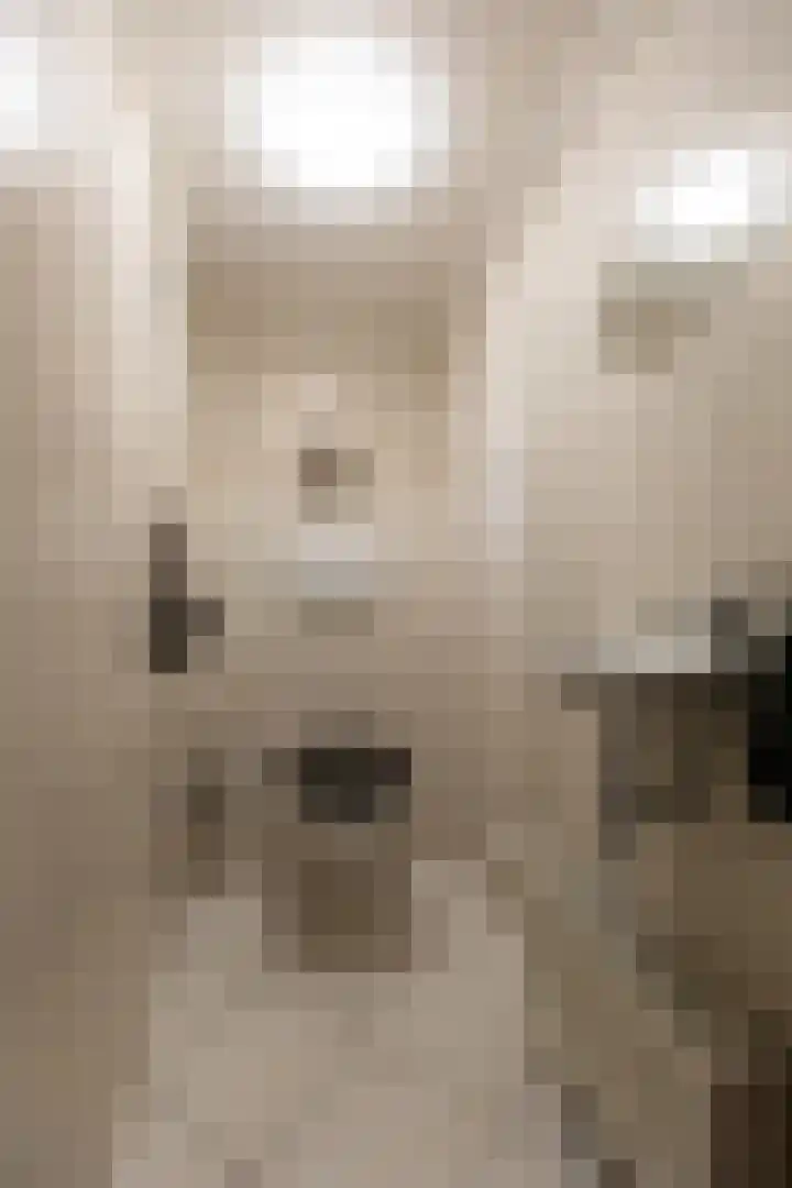 Kerkstraat 12 Didam thumbnail 21