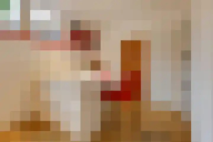 Kerkstraat 12 Didam thumbnail 30