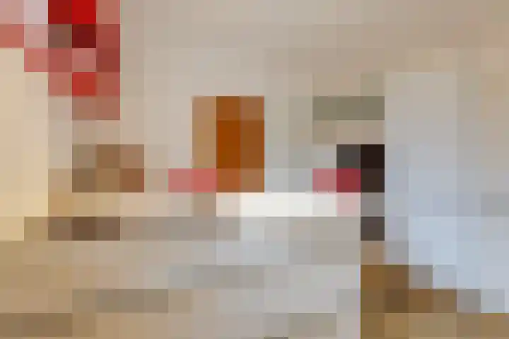 Kerkstraat 12 Didam thumbnail 31