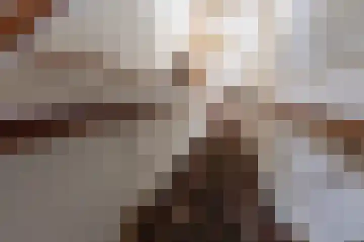 Kerkstraat 12 Didam thumbnail 44